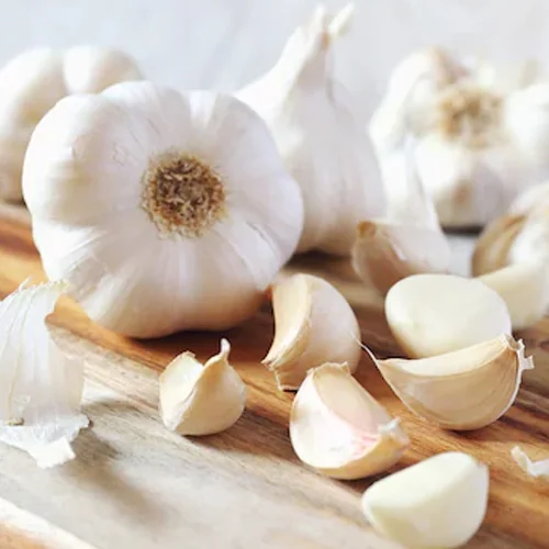 Garlic